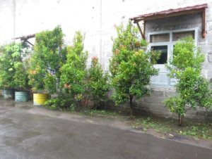 image62